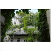 2021-07-14 Grundsteingasse 42 Innenhofbegruenung 09.jpg
